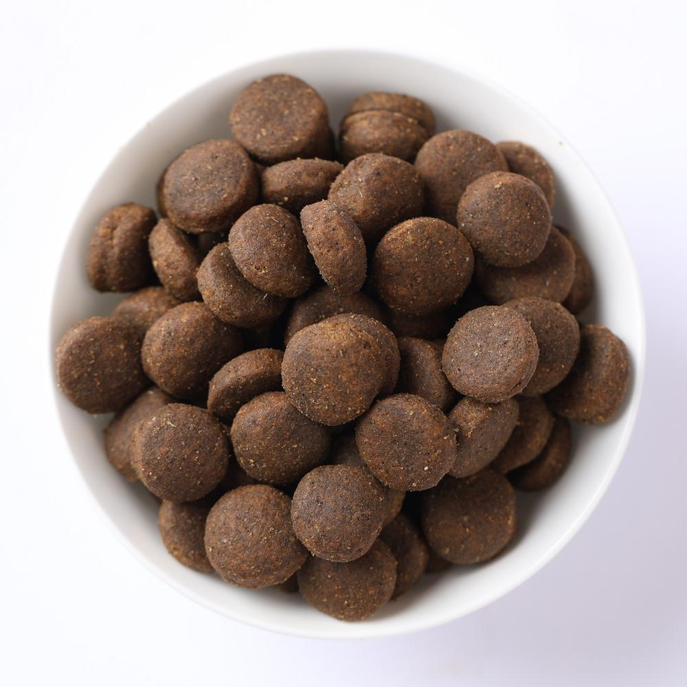 N&D Quinoa Pele e Pelo para Cães Adultos de Todas as Raças Sabor Peixe 10,1Kg