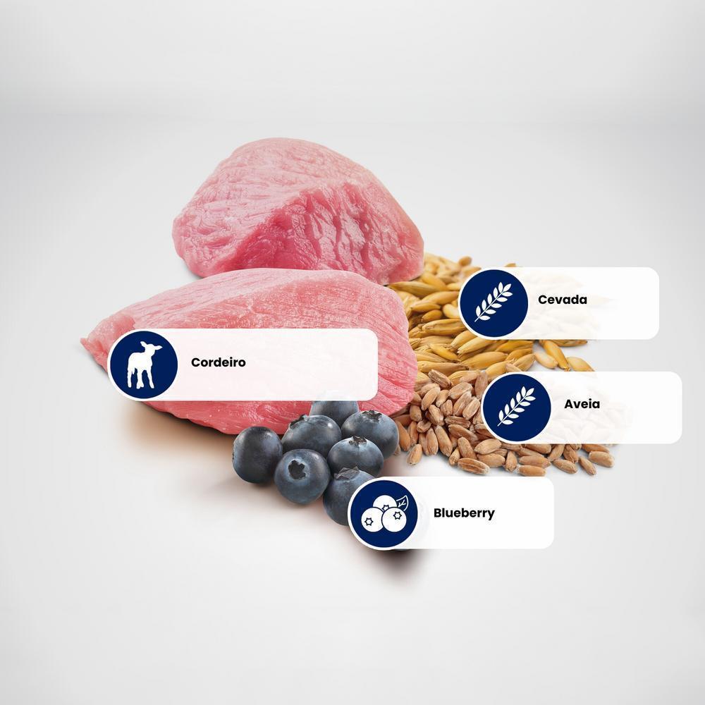 N&D Ancestral para Cães Adultos de Raças Médias Sabor Cordeiro, Blueberry, Aveia e Cevada 10,1Kg