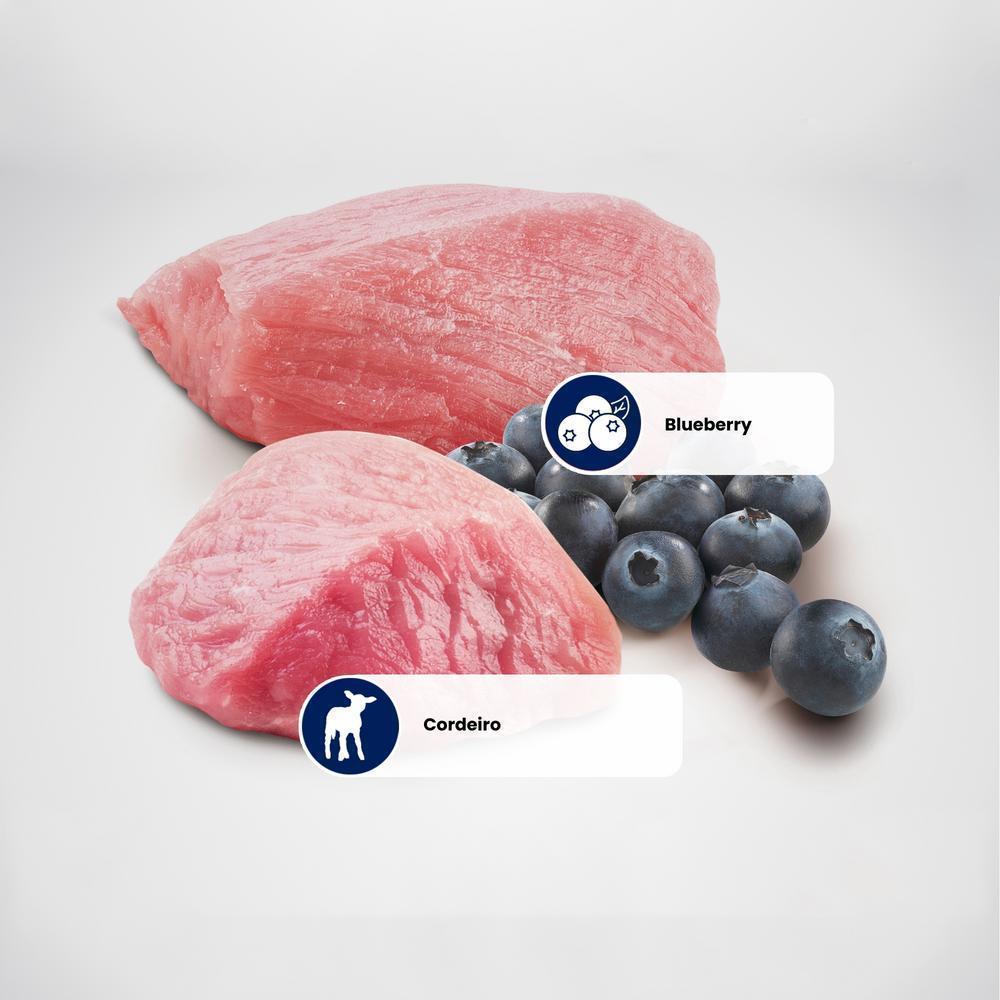 N&D Prime para Cães Adultos de Raças Médias Sabor Cordeiro e Blueberry 10,1Kg