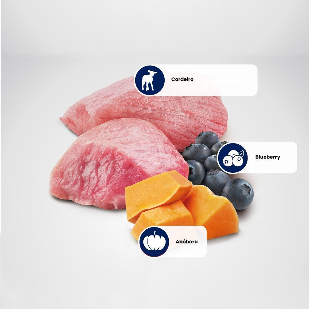 N&D Pumpkin para Cães Adultos de Raças Mini e Pequenas Sabor Cordeiro, Abóbora e Blueberry 10,1Kg