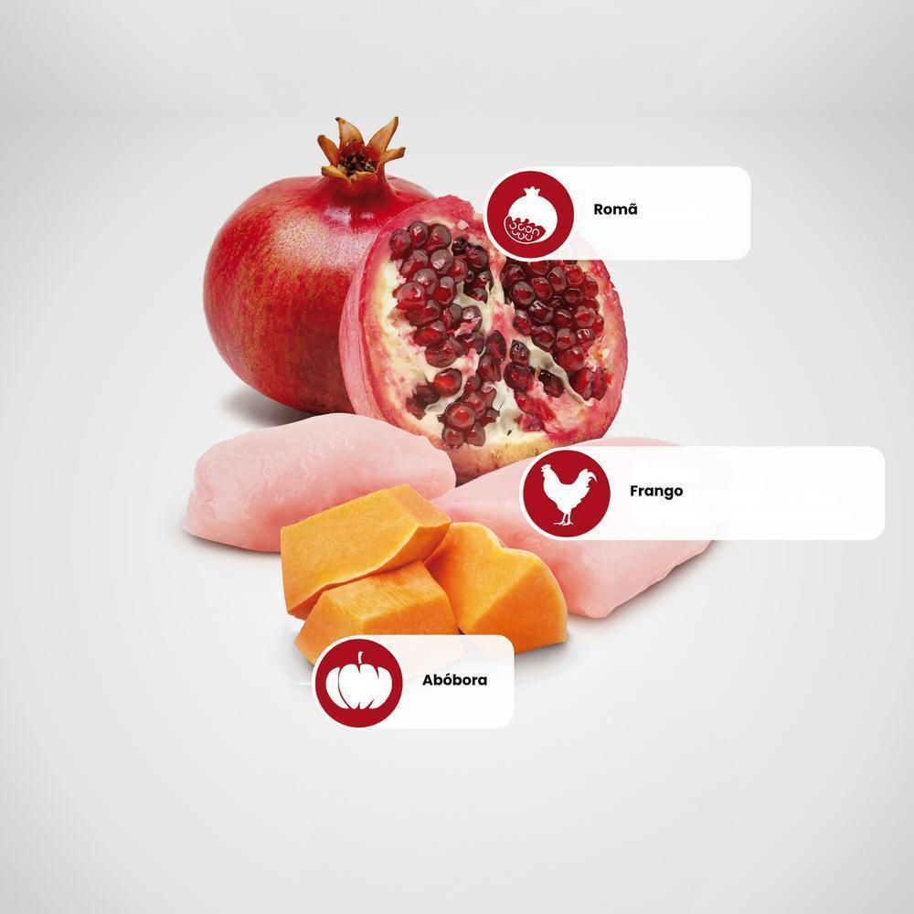 N&D Pumpkin para Cães Adultos de Raças Mini e Pequenas Sabor Frango, Abóbora e Romã 800g
