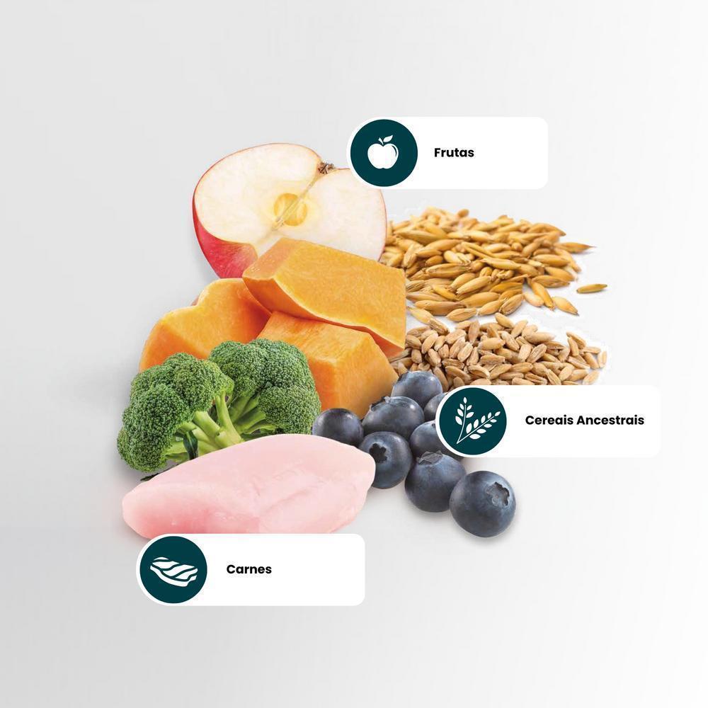 N&D Ancestral Selection para Cães Filhotes de Raças Médias Sabor Frango, Frutas e Cereais Ancestrais 15Kg