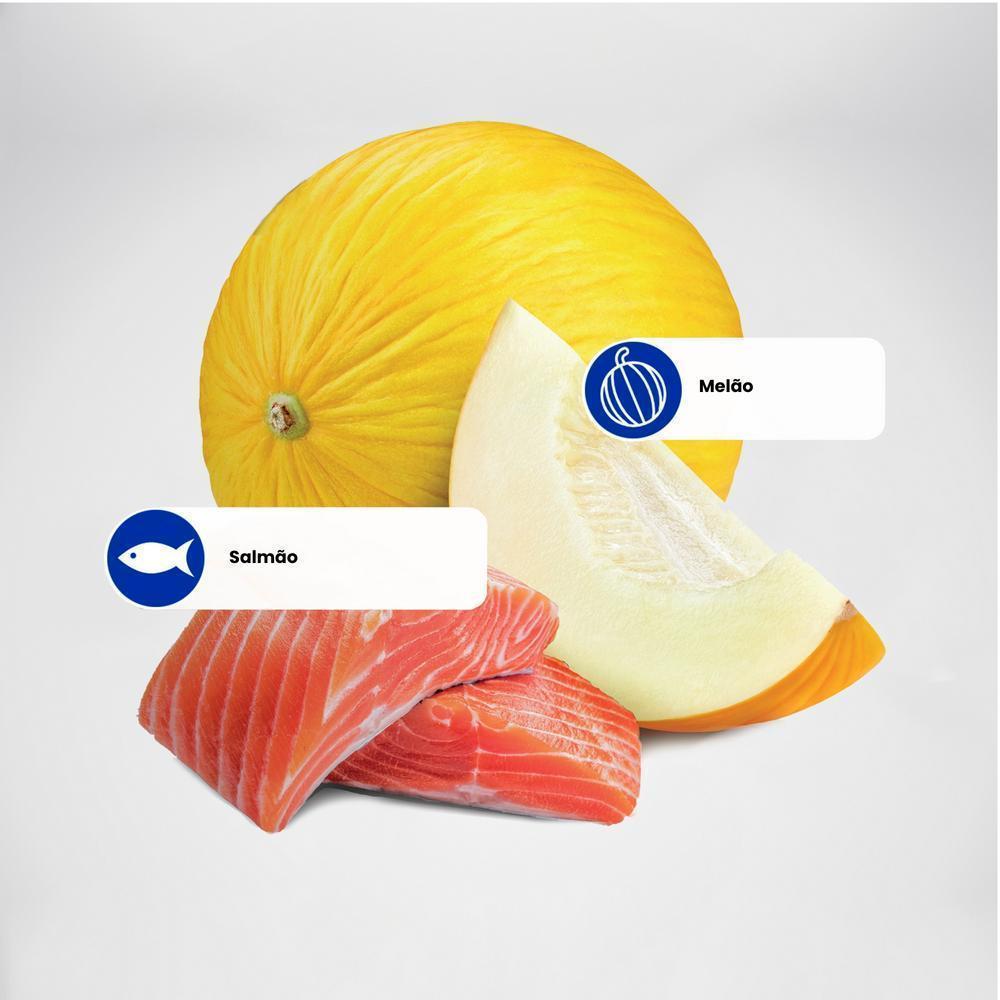 N&D Ocean para Gatos Adultos Castrados de Todas as Raças Sabor Salmão e Melão 7,5Kg