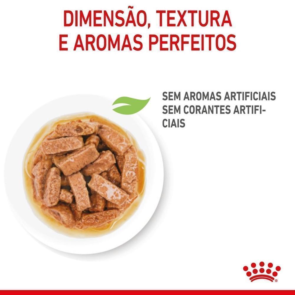 Ração Úmida Royal Canin Sachê Medium Puppy para Cães Filhotes de Porte Médio - 140 g