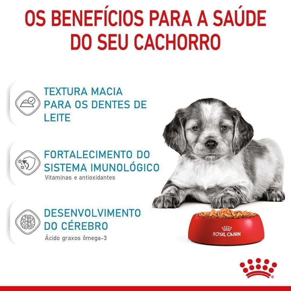 Ração Úmida Royal Canin Sachê Medium Puppy para Cães Filhotes de Porte Médio - 140 g