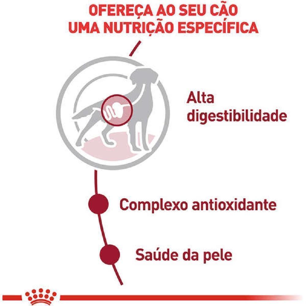 Ração Úmida Royal Canin Sachê Medium Adult Cães Adultos de Porte Médio - 140 g