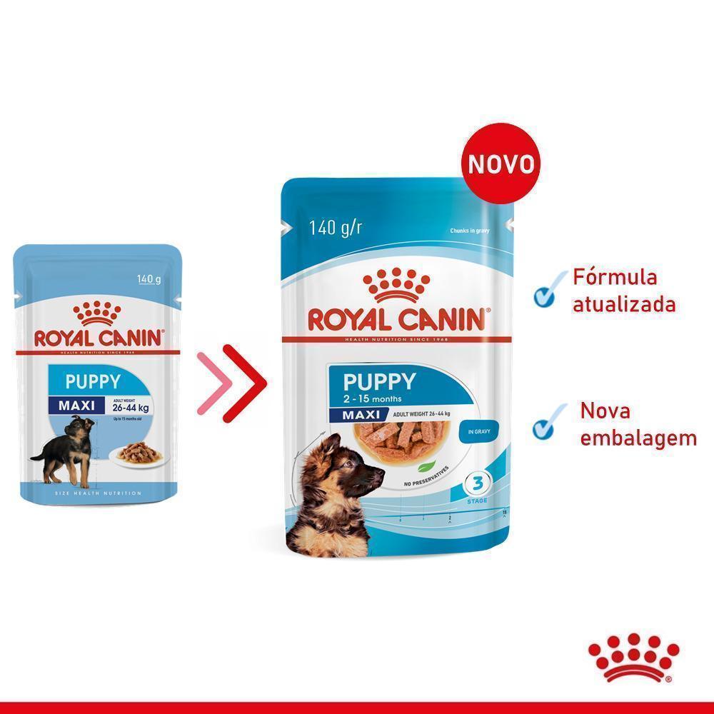 Ração Úmida Royal Canin Sachê Maxi Puppy para Cães Filhotes de Porte Grande - 140 g