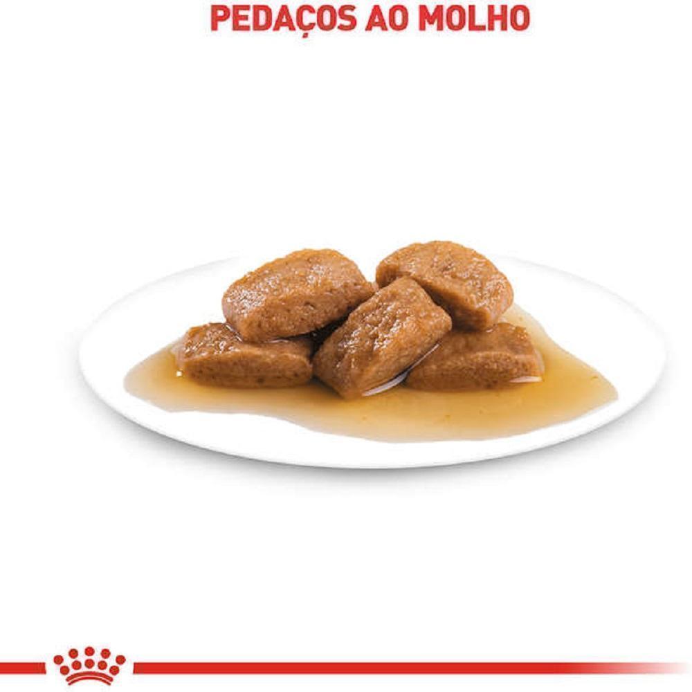Ração Úmida Royal Canin Sachê Veterinary Diet Urinary S/O para Gatos com Cálculos Urinários - 85 g