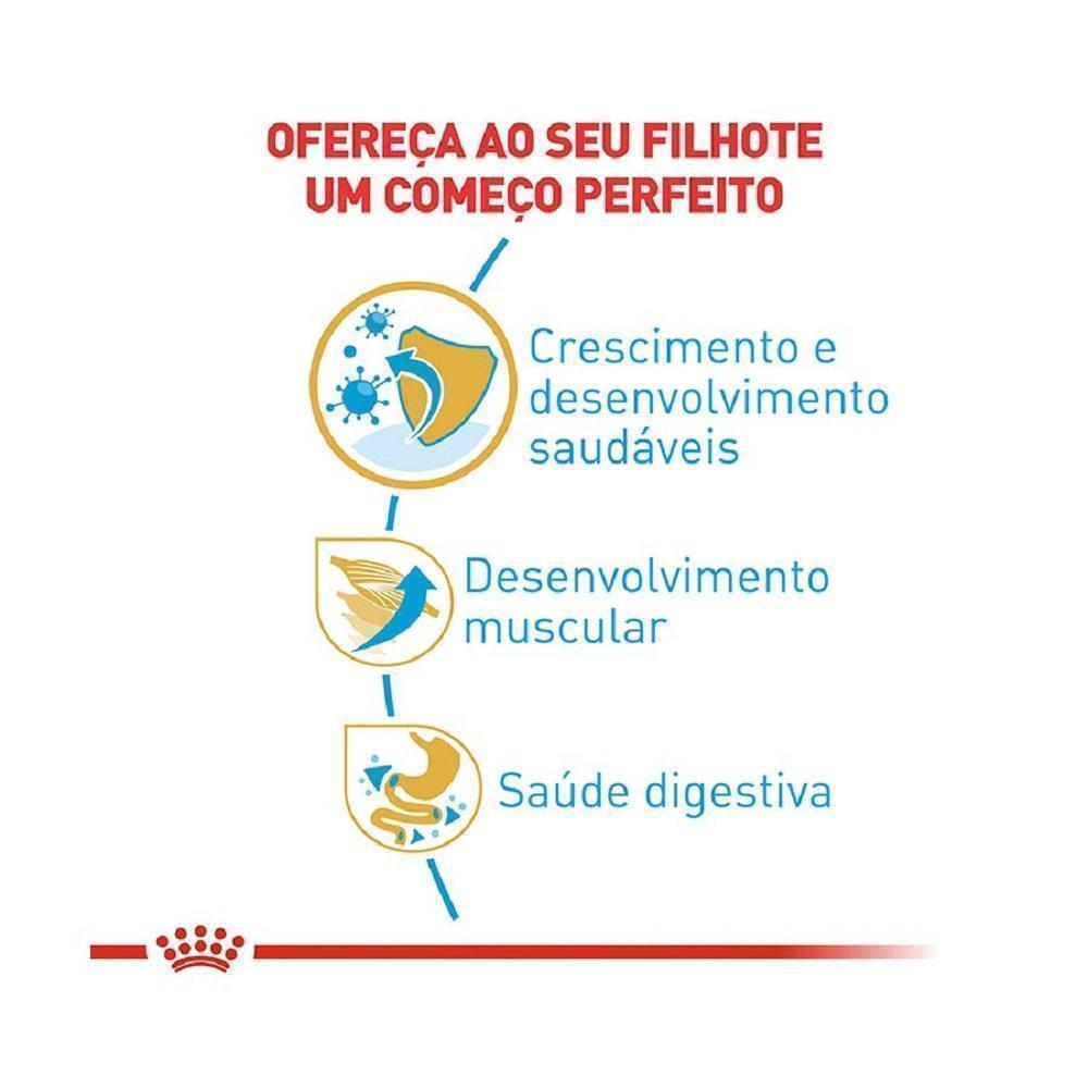 Ração Seca Royal Canin Puppy para Cães Filhotes da Raça Boxer - 12 Kg