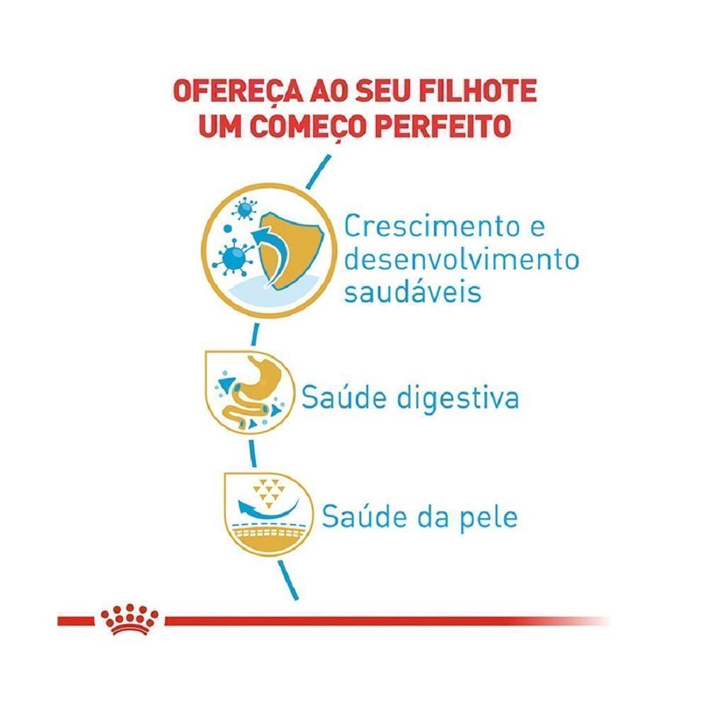 Ração Seca Royal Canin Puppy para Cães Filhotes da Raça Bulldog Francês - 1 Kg