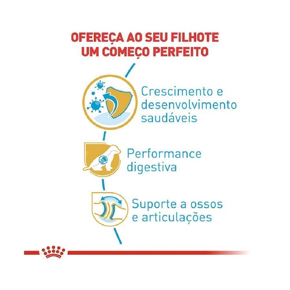 Ração Seca Royal Canin Puppy para Cães Filhotes da Raça Pastor Alemão - 12 Kg
