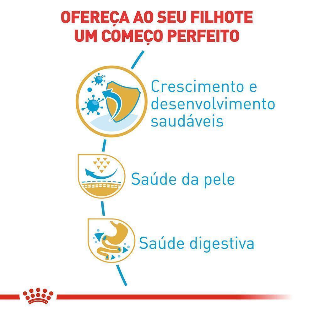 Ração Seca Royal Canin Puppy para Cães Filhotes da Raça Pug - 2,5 Kg