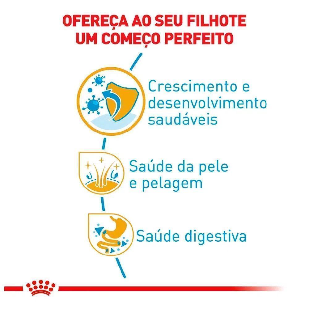 Ração Seca Royal Canin Puppy para Cães Filhotes da Raça Shih Tzu - 2,5 Kg