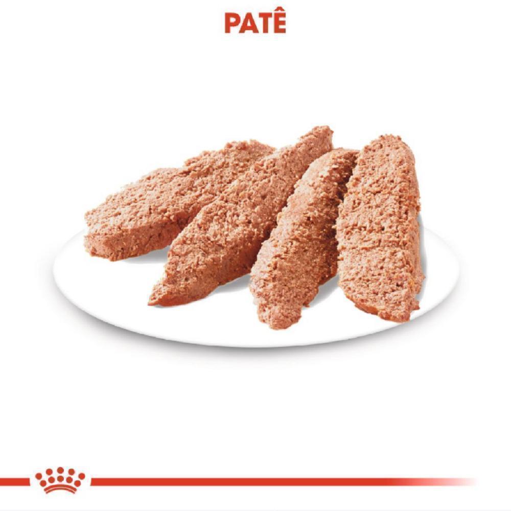 Ração Úmida Royal Canin Sachê Cuidado Digestivo para Cães Adultos - 85 g