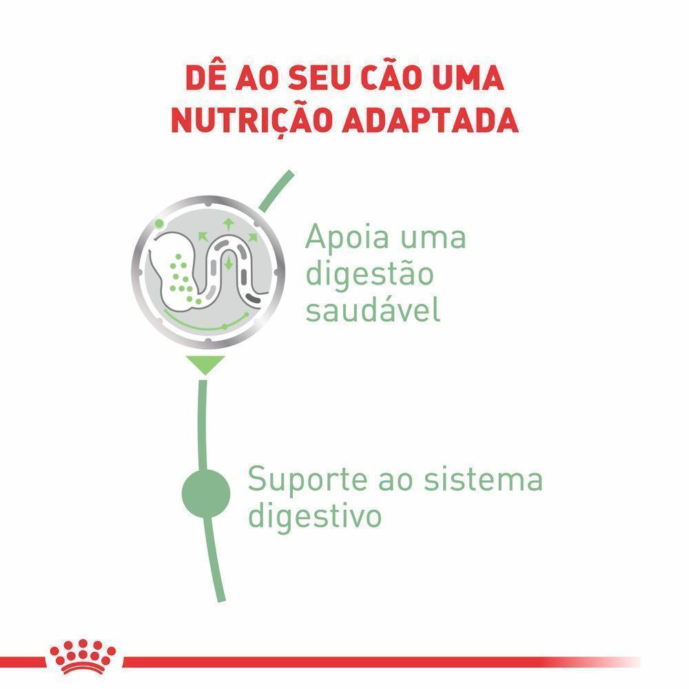 Ração Úmida Royal Canin Sachê Cuidado Digestivo para Cães Adultos - 85 g
