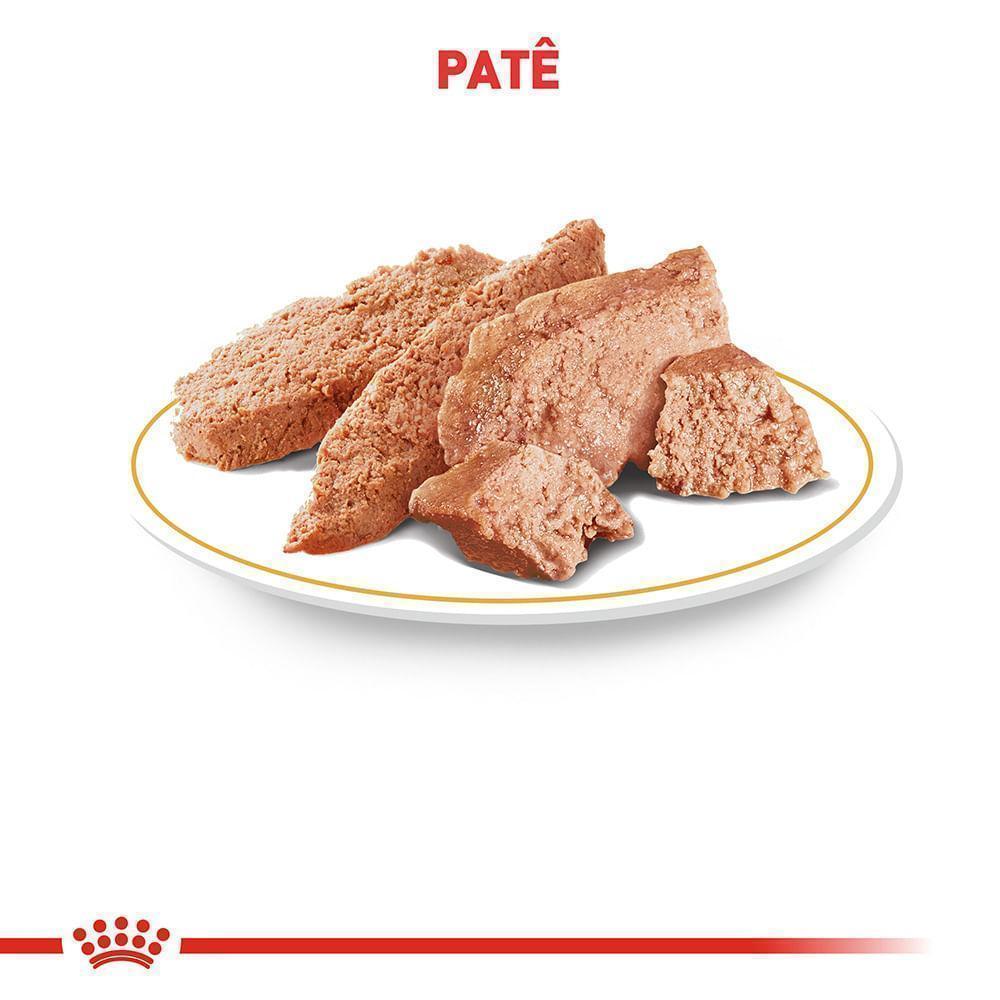 Ração Úmida Royal Canin Sachê para Cães Adultos da Raça Shih Tzu - 85 g
