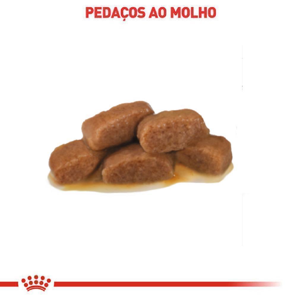 Ração Úmida Royal Canin Sachê Veterinary Diet Gastrointestinal Gatos com Doenças Intestinais - 85 g