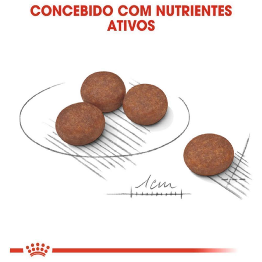 Ração Seca Royal Canin Cuidado Digestivo para Cães Adultos de Porte Mini a partir de 10 meses de idade - 2,5 Kg