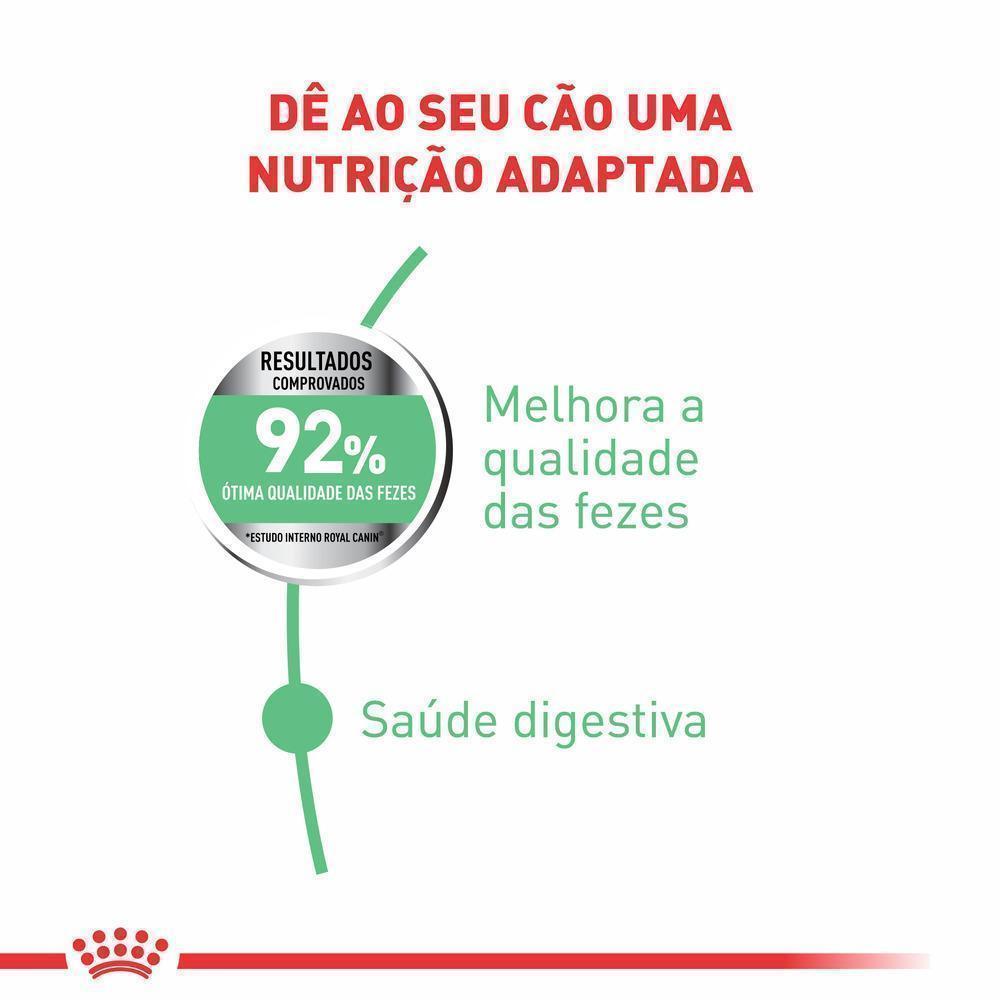 Ração Seca Royal Canin Mini Cuidado Digestivo para Cães Adultos de Porte Pequeno a partir de 10 meses de idade - 1 Kg