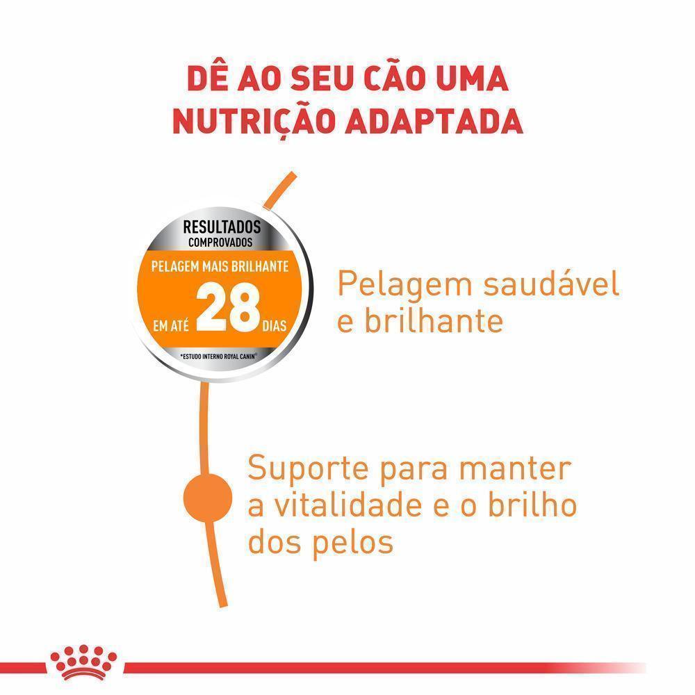 Ração Seca Royal Canin Cuidado da Pelagem para Cães Adultos de Porte Pequeno a partir de 10 meses de idade - 2,5 Kg