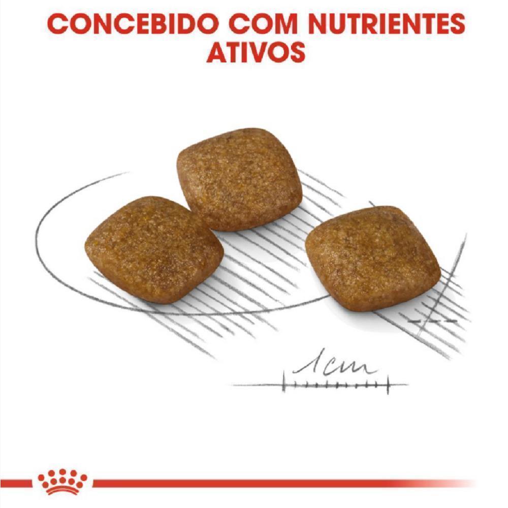 Ração Seca Royal Canin Relax Care para Cães Adultos de Porte Mini a partir de 10 meses de idade - 2,5 Kg