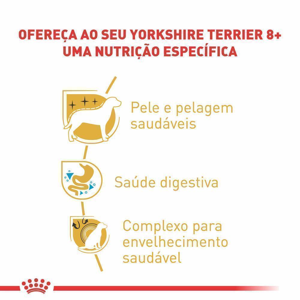 Ração Seca Royal Canin para Cães Adultos da Raça Yorkshire com 8 Anos ou mais - 2,5 Kg