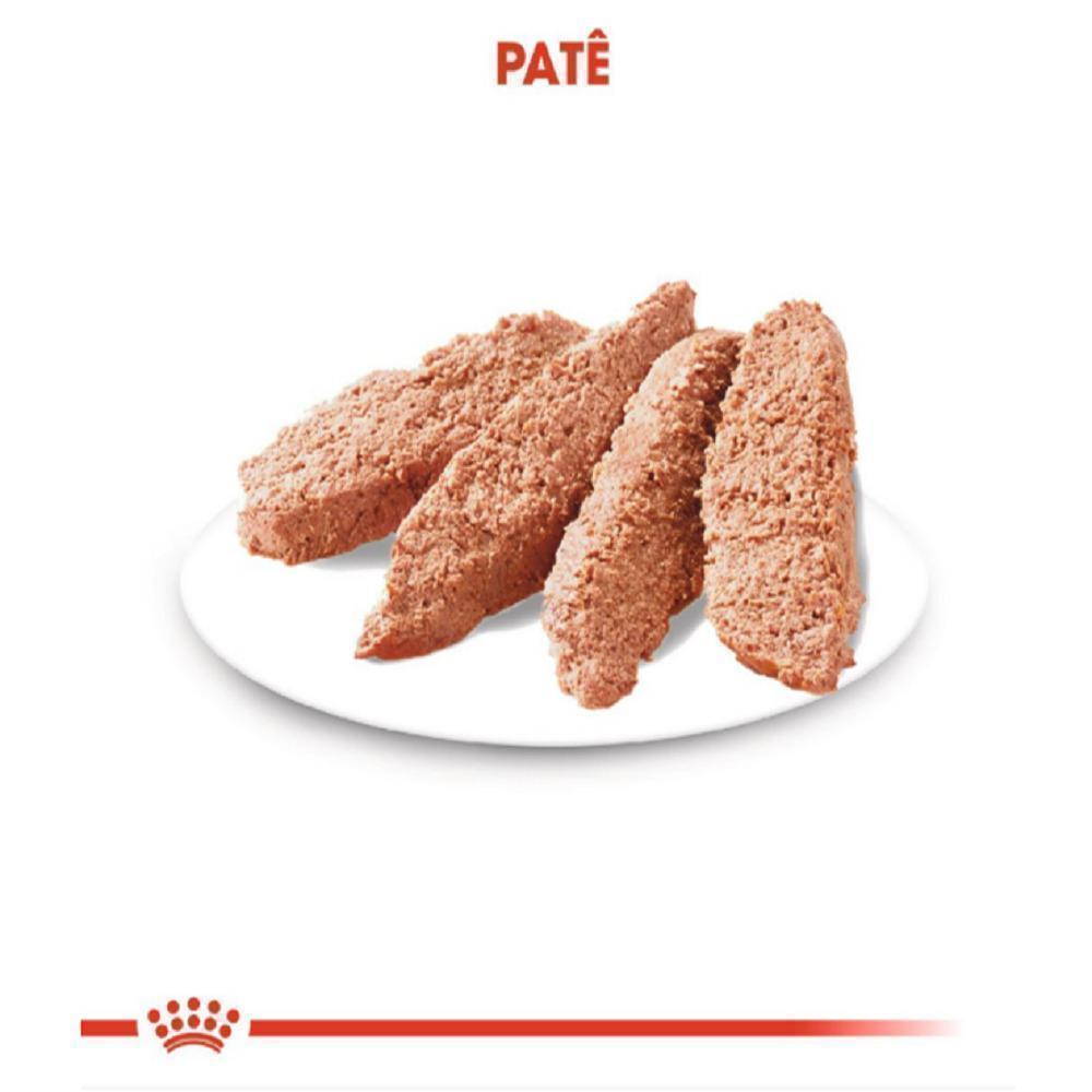 Ração Úmida Royal Canin Sachê Patê para Gatos Adultos Castrados - 85 g