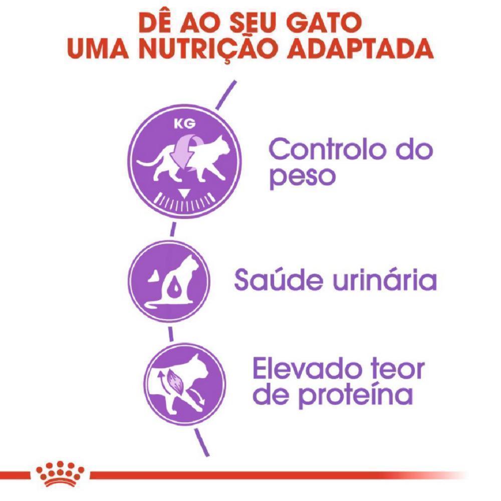 Ração Seca Royal Canin para Gatos Adultos Castrados - 10,1 Kg