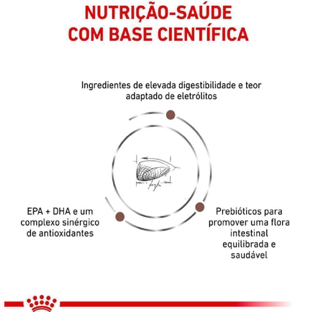 Ração Seca Royal Canin Veterinary Diet Gastrointestinal Gatos com Doenças Intestinais - 4 Kg