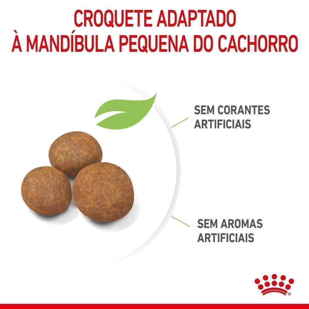 Ração Seca Royal Canin Maxi Puppy para Cães Filhotes de Porte Grande - 4 Kg