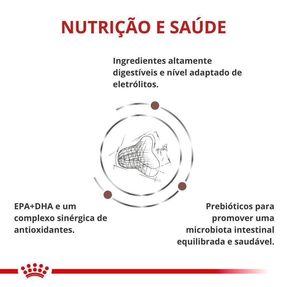 Ração Seca Royal Canin Veterinary Diet Gastrointestinal Fibre Response para Gatos Adultos - 1,5 Kg