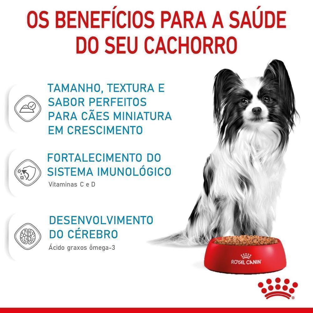 Ração Úmida Royal Canin X-Small Puppy para Cães de 2 a 10 Meses 85 g
