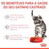 Ração Úmida Royal Canin Sachê Jelly para Gatos Filhotes Castrados de até 12 meses - 85 g