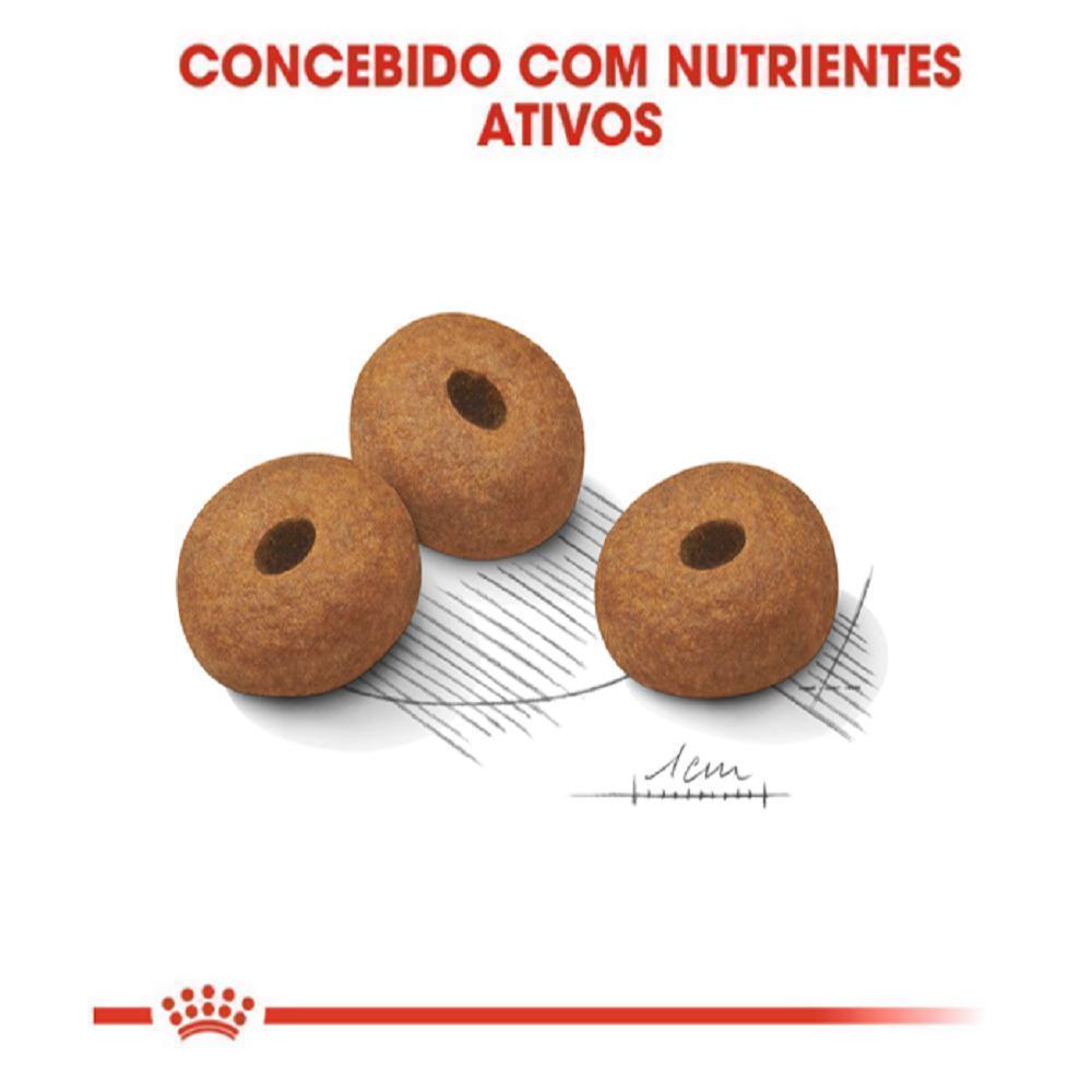 Ração Seca Royal Canin Maxi Light para Cães Adultos ou Idosos de Porte Grande com Tendência à Obesidade - 10,1 Kg