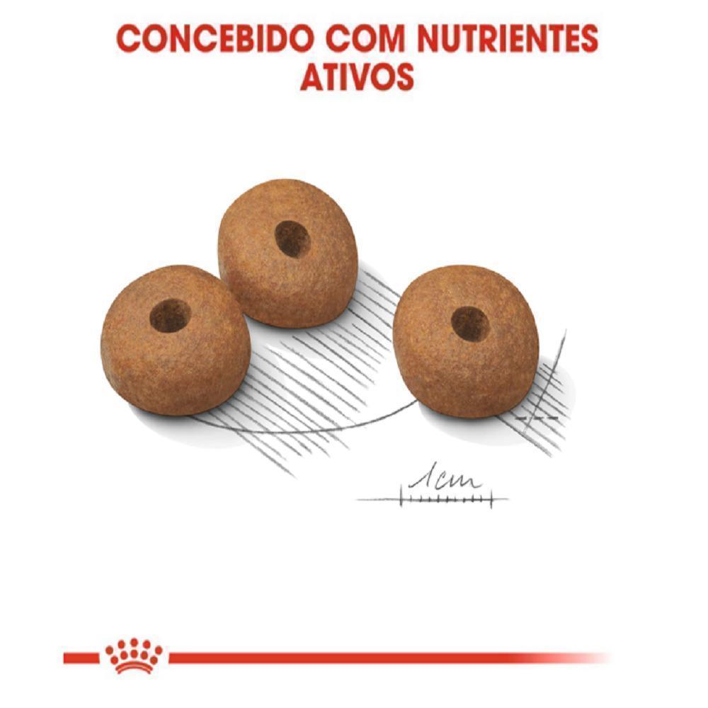 Ração Seca Royal Canin Medium Light para Cães Adultos ou Idosos de Porte Médio com Tendência à Obesidade - 10,1 Kg