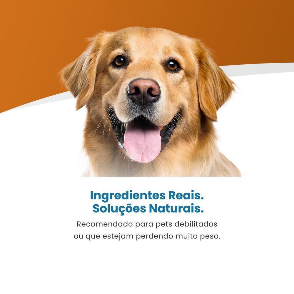 Vet Life Convalescence para Cães Adultos de Todas as Raças 300g