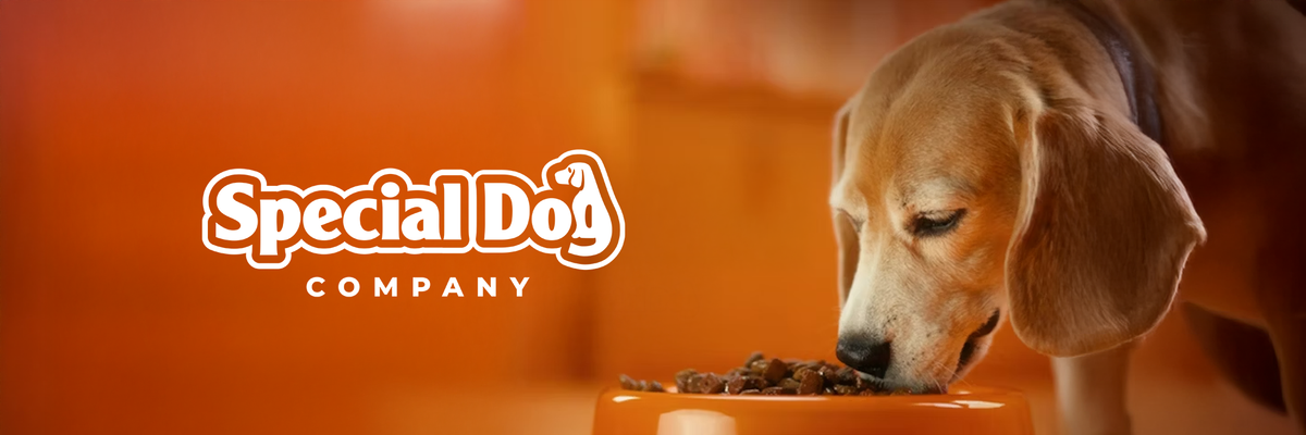 Special Dog – Chegô